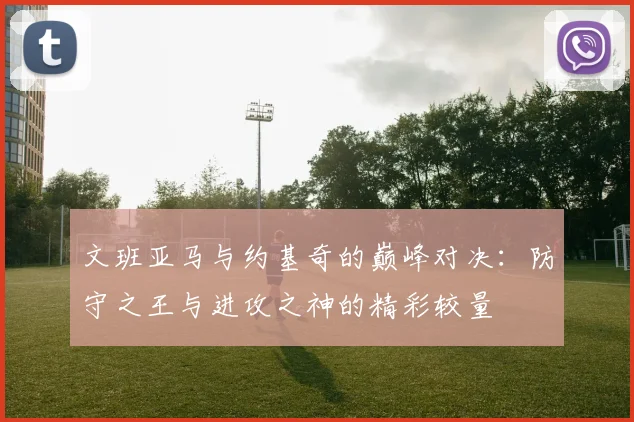 文班亚马与约基奇的巅峰对决：防守之王与进攻之神的精彩较量