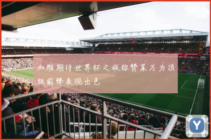 加维期待世界杯之旅称赞莱万为顶级前锋表现出色